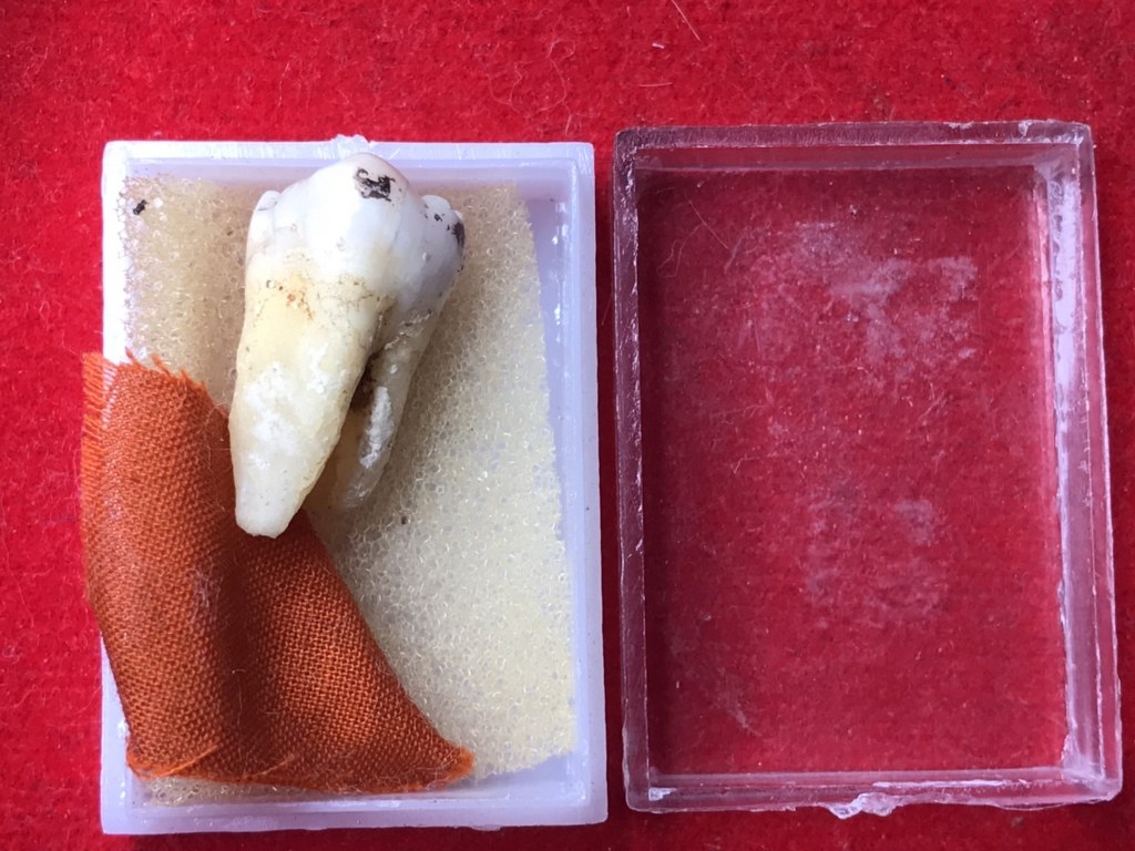 พระทันตธาตุและจีวรครูบาเมืองแก้ว วัดปทุมสราราม หรือวัดสันปูเลย ต.ศรีเตี้ย อ.บ้านโฮ้ง จ.ลำพูนได้มาจากลุงประสิทธิ์ อดีตนายอำเภอ เวียงหนองล่อง อายุ 74 ปี (บันทึกปี 2566) เล่าว่าได้มาประมาณปี 2545 จากพ่อคำ ชื่อจริงชื่อคำสอน คนศรีเตี้ย อ.บ้างโฮ่ง จ.ลำพูน