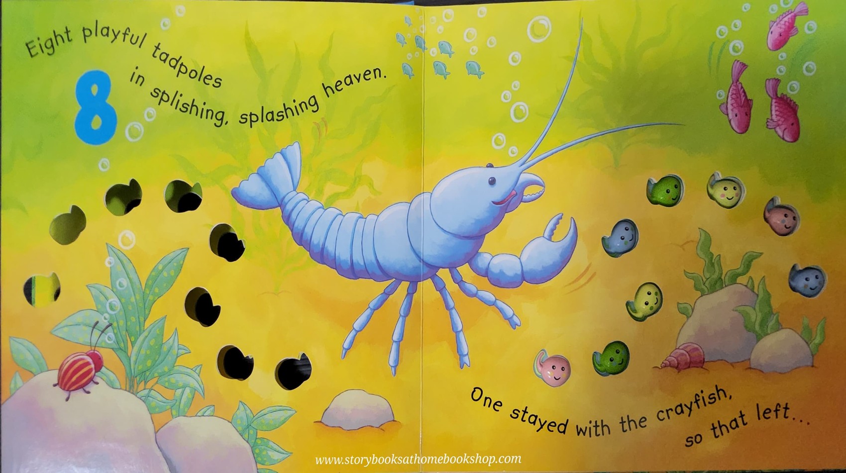 TOUCH AND FEEL POP UP BOOK ** 🍅🍓TEN TINY TADPOLES