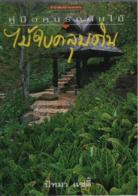 ไม้ใบคลุมดิน