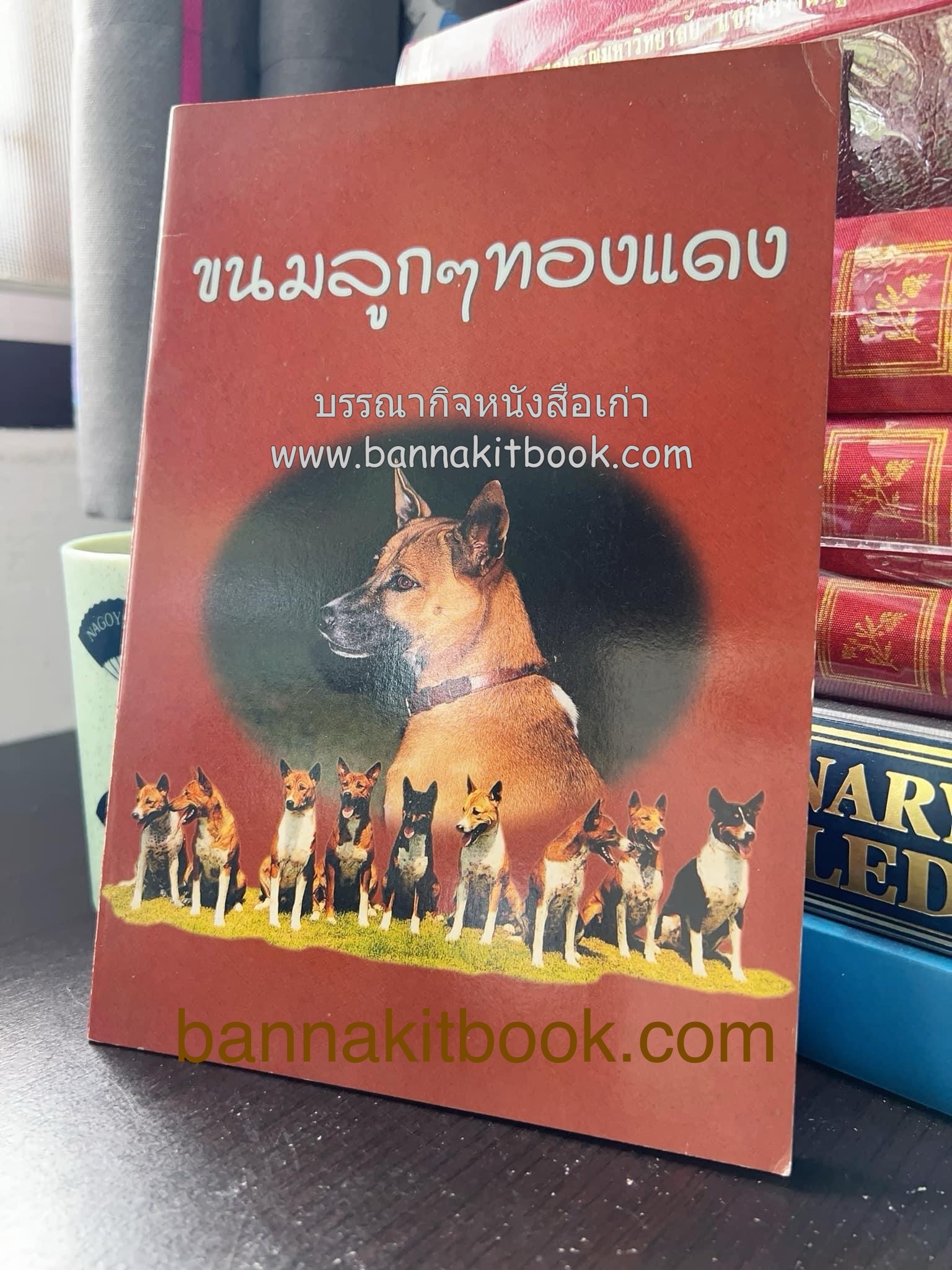 ขนมลูกๆ ทองแดง ของ วิทยาลัยในวังหญิง สูตรขนมโดย : หม่อมหลวงดรุณี จักรพันธุ์.