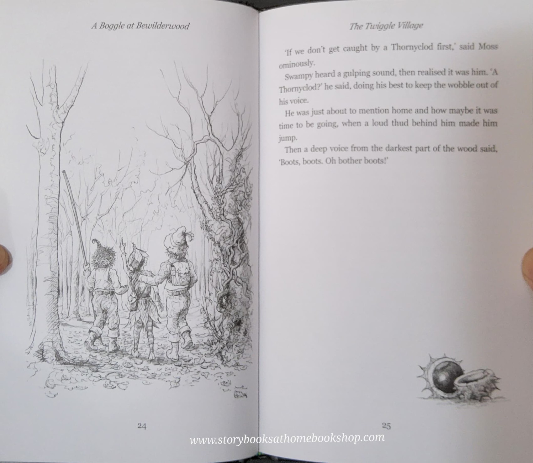 วรรณกรรมเยาวชน แนะนำ** 🍅🍓A BOGGLE AT BEWILDERWOOD BY TOM BLOFELD