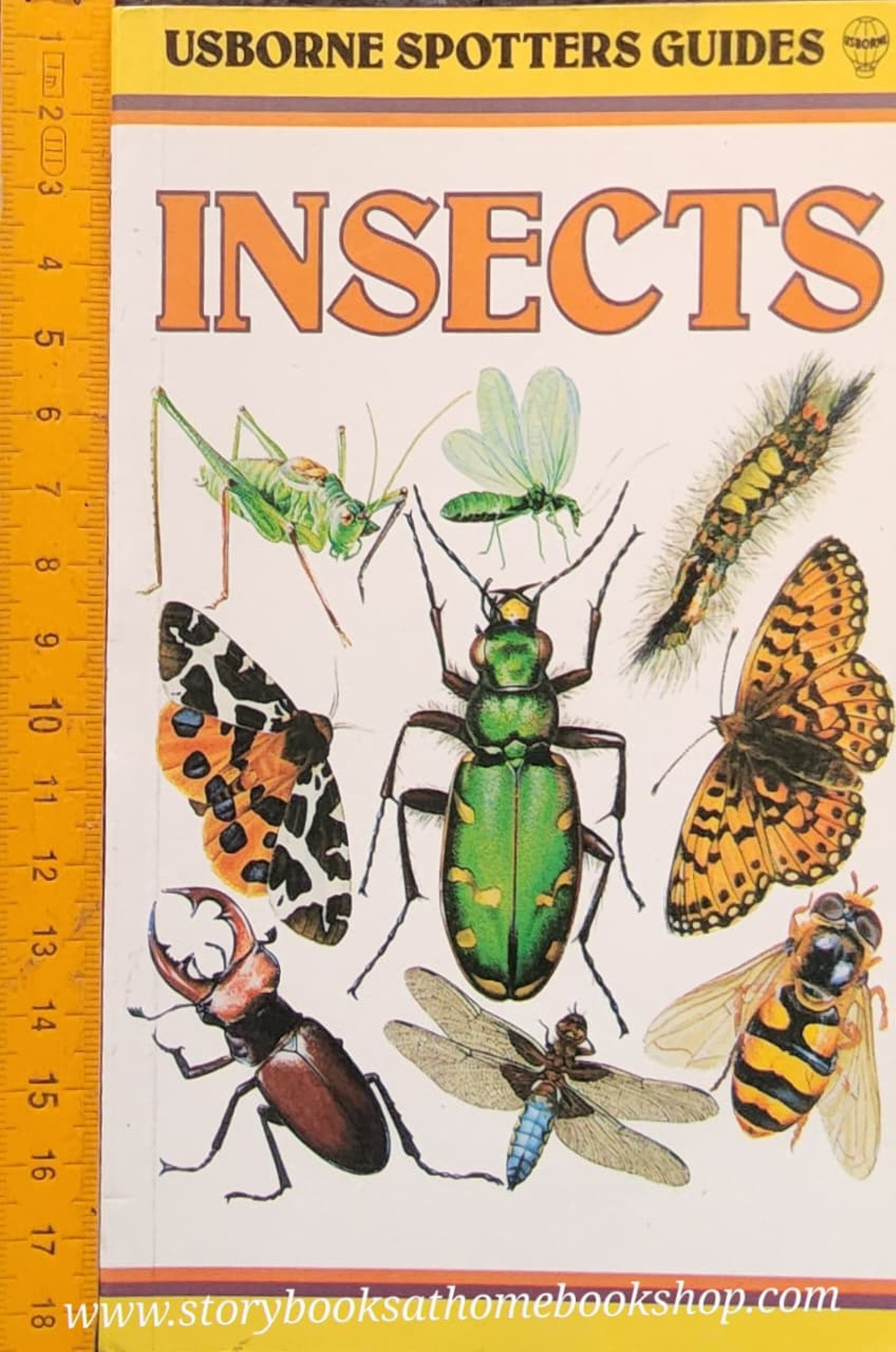 Knowledge Book** 🍅🍅USBORNE SPOTTERS GUIDE: INSECT