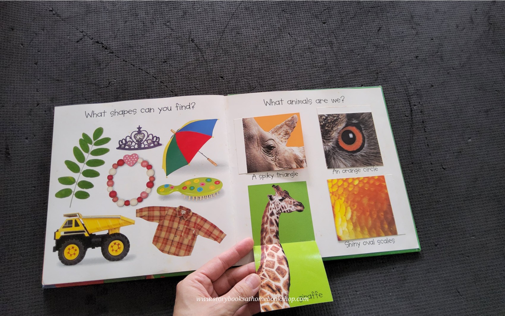 หนังสือนิทานปกแข็ง FLAP BOOK** 🍅🍓LIFT-THE-FLAP: SHAPES