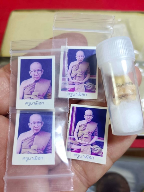 พระทันตธาตุครูบาเผือก วัดไชยสถาน ต.สบแม่ข่า อ.หางดง จ.เชียงใหม่ ได้มาจาก พี่ต้อม อายุประมาณ ๕๐ กว่าปี อยู่ตำบลหางดง อำเภอหางดง จ.เชียงใหม่ เจ้าของเดิมเป็นของคุณพ่อของพี่ต้อม ชื่อพ่อเตี้ย เสียชีวิตเมื่อปี ๒๕๖๒ หากอยู่ถึงปัจจุบัน ก็จะมีอายุ ๘๐ กว่าปี