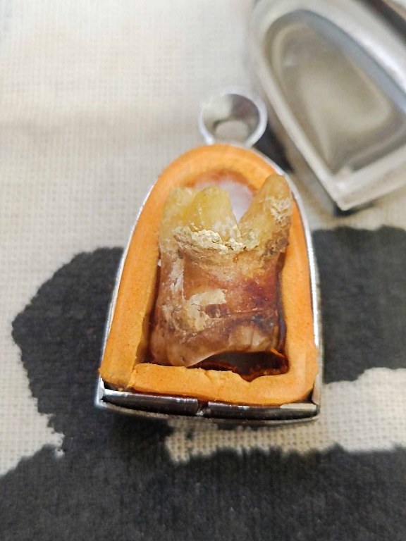 พระทันตธาตุหลวงปู่หล้า นี้ได้จากกำนันคำ อดีตกำนันบ้านปากกอง อ.สารภี จ.เชียงใหม่ ปัจจุบันอายุ 86 ปี (บันทึก พ.ศ.2566) กำนันคำเล่าว่าท่านเคยรับใช้หลวงปู่หล้าในช่วงปี 2530 ส่วนพระทันตธาตุองค์นี้ท่านได้รับมาจากมือหลวงปู่หล้า เมื่อปี 2533