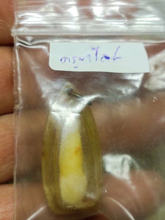 พระทันตธาตุ ครูบาไลย์ พรหมสโร วัดทากาศ อ.แม่ทา จ.ลำพูน ได้มาจากพ่อหนานอ้าย ปัจจุบัน (พ.ศ.2567) ท่านอายุ 72 ปี อาศัยทำสวนลำไย อยู่ที่ อ.บ้านทา จ.ลำพูน ท่านเป็นศิษย์รับใช้ครูบาไลย์ ในช่วงปี 2540 - 2550