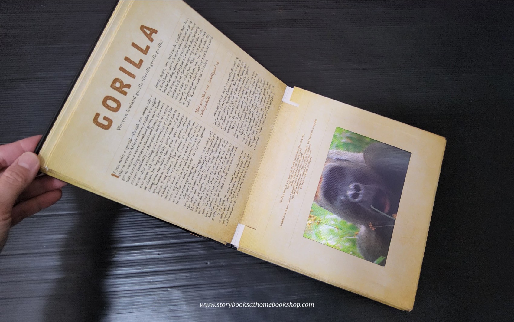 PHOTICULAR BOOK** 🍅SAFARI