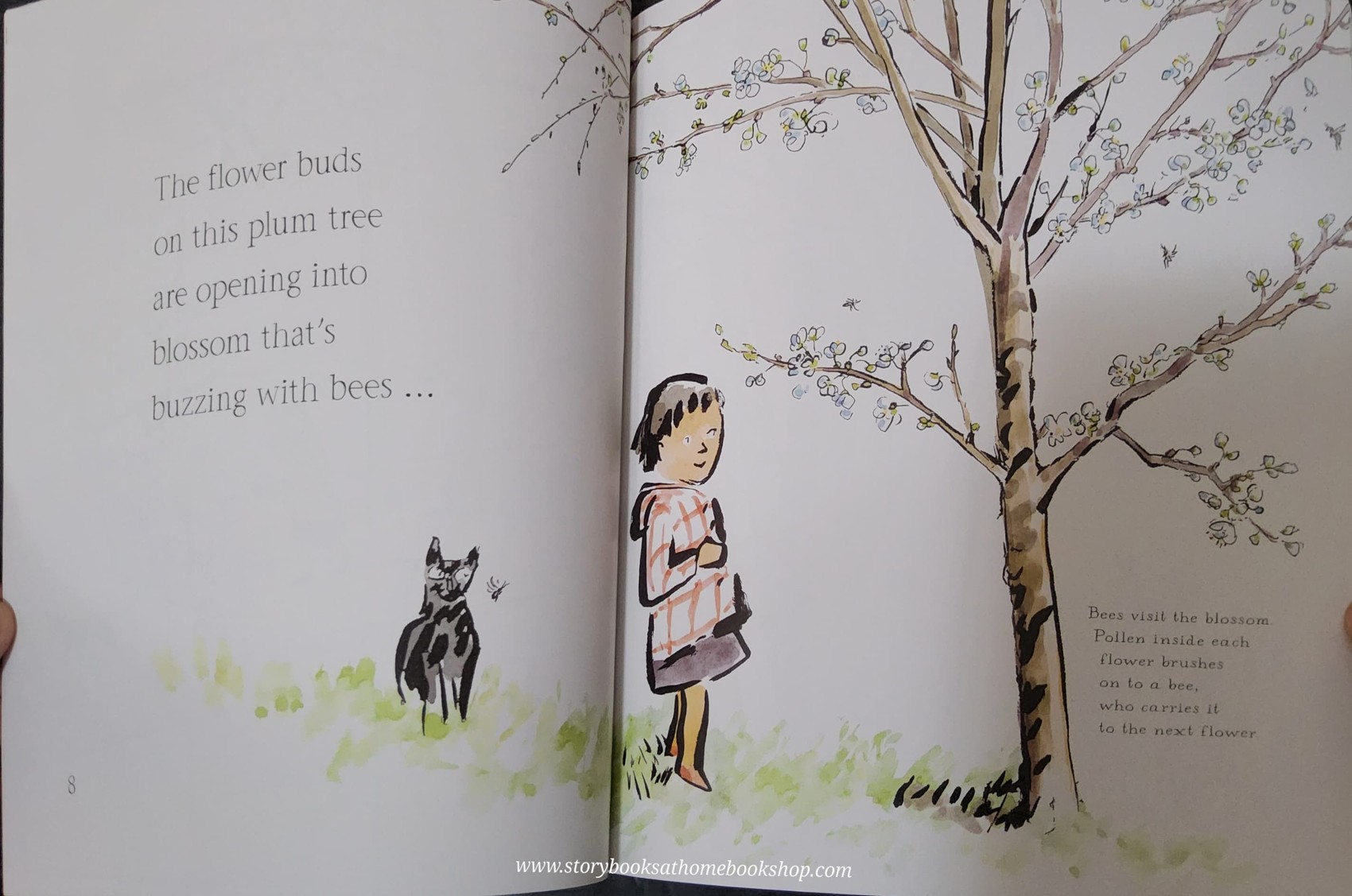 หนังสือนิทานปกอ่อน** 🍅🍓THE THINGS THAT I LOVE ABOUT TREES