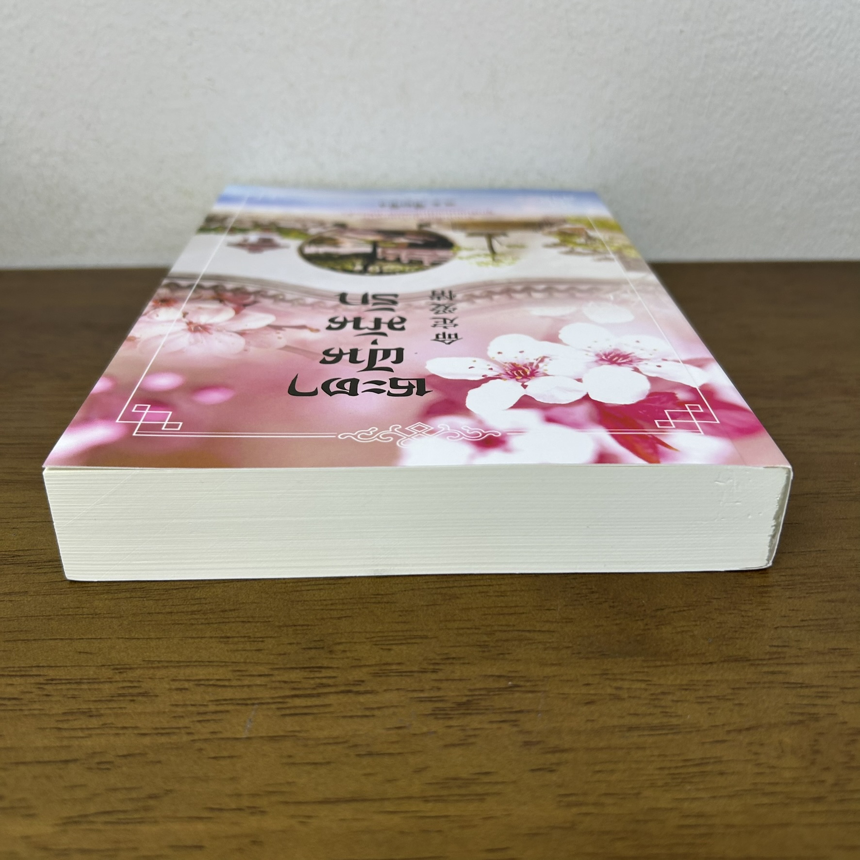 ชะตาฝันมั่นรัก ... ซือซิง (มือสอง) นิยายรัก โรแมนติก คำต่อคำ