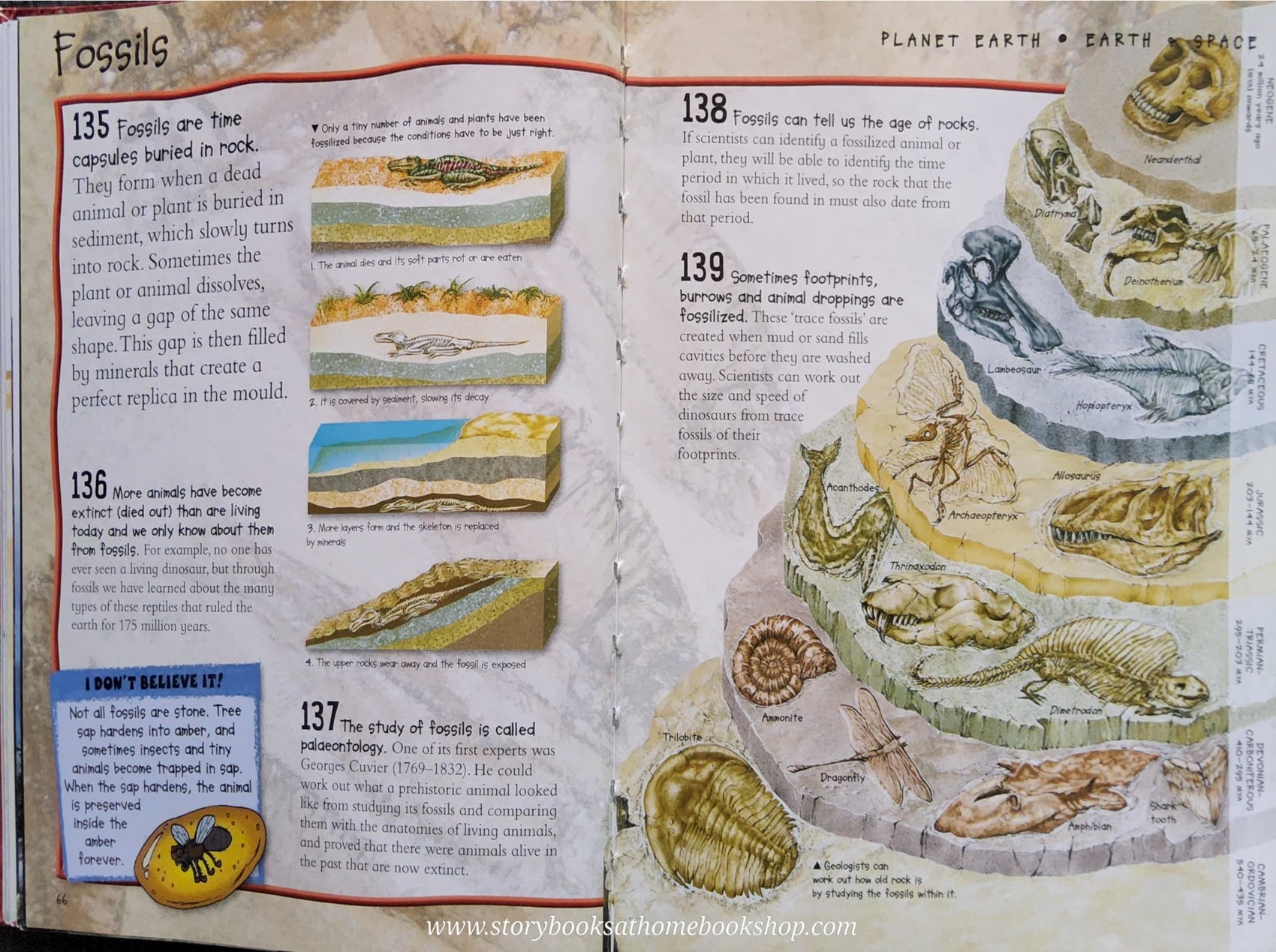 KNOWLEDGE BOOK** ♥️OVER 1000 FANTASTIC FACTS