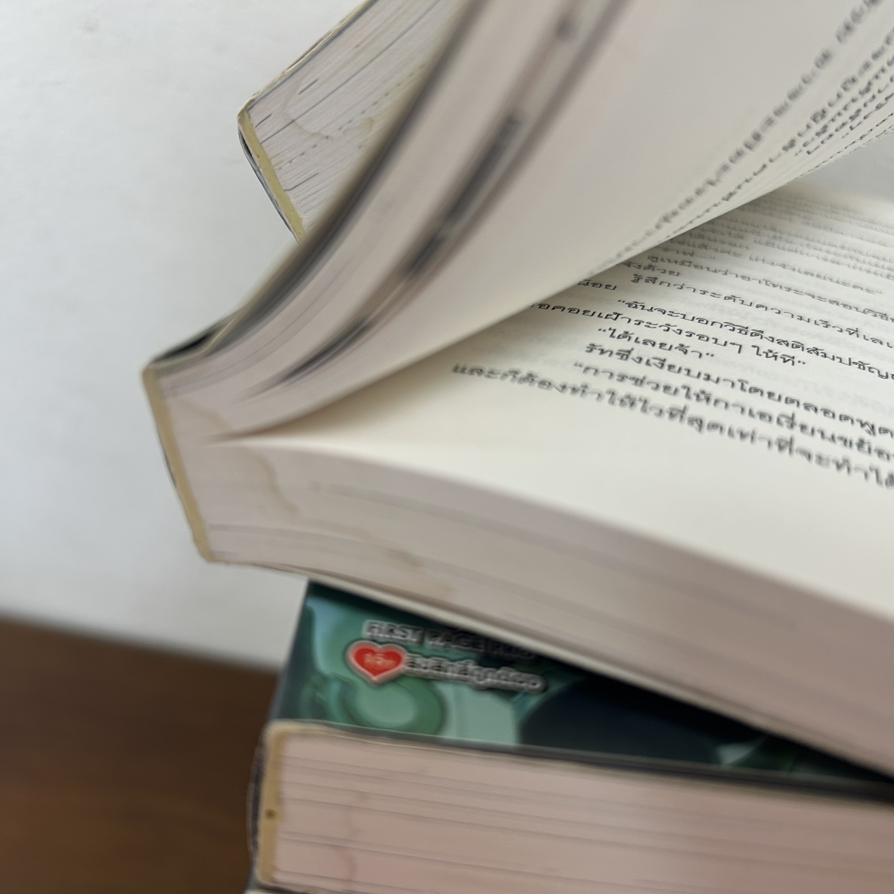 [นิยาย] ผู้กล้าโล่ผงาด เล่ม 1-14 ... Aneko Yusagi (มือสอง) LIGHT NOVEL LN