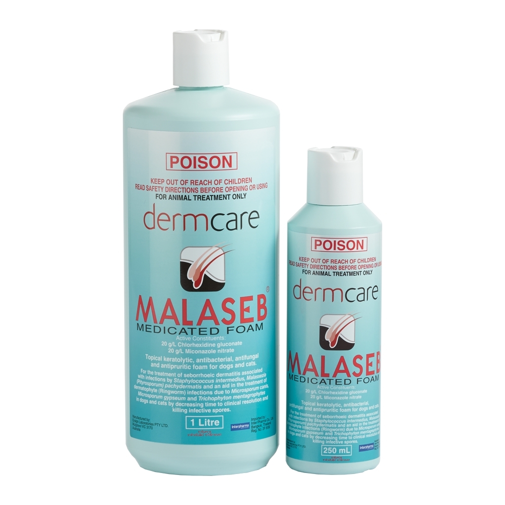MALASEB แชมพูขจัดเชื้อแบคทีเรีย เชื้อรา และยีสต์ ขนาด 250ml