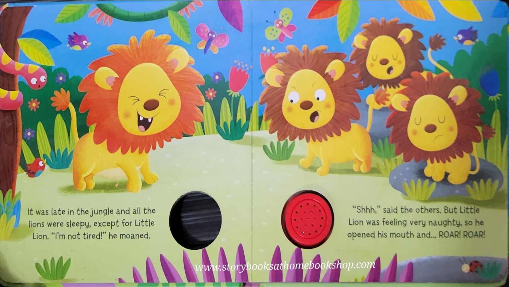 Sound Book Little Lion