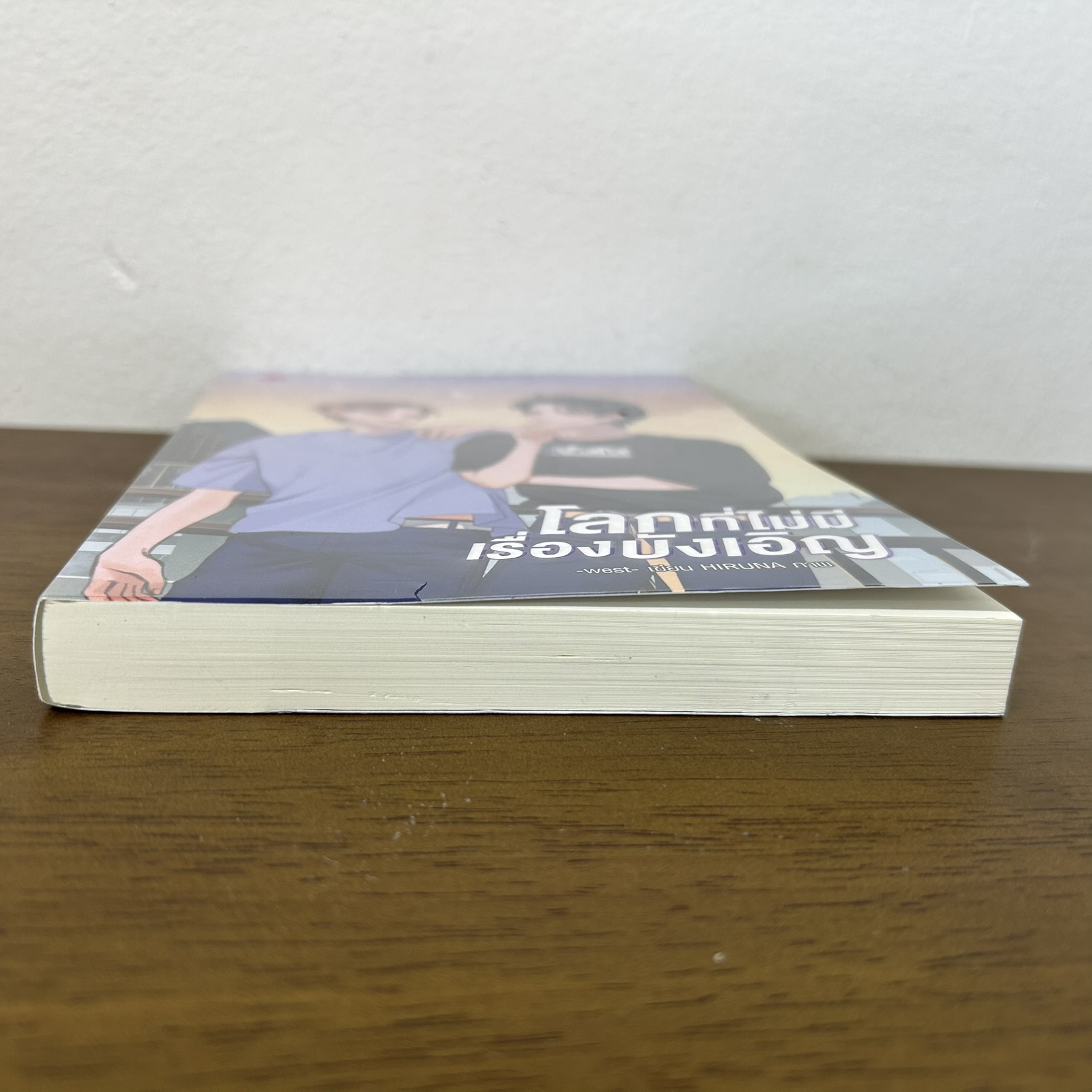 [YAOI] โลกที่ไม่มีเรื่องบังเอิญ ... west (มือสอง) นิยายวาย everY