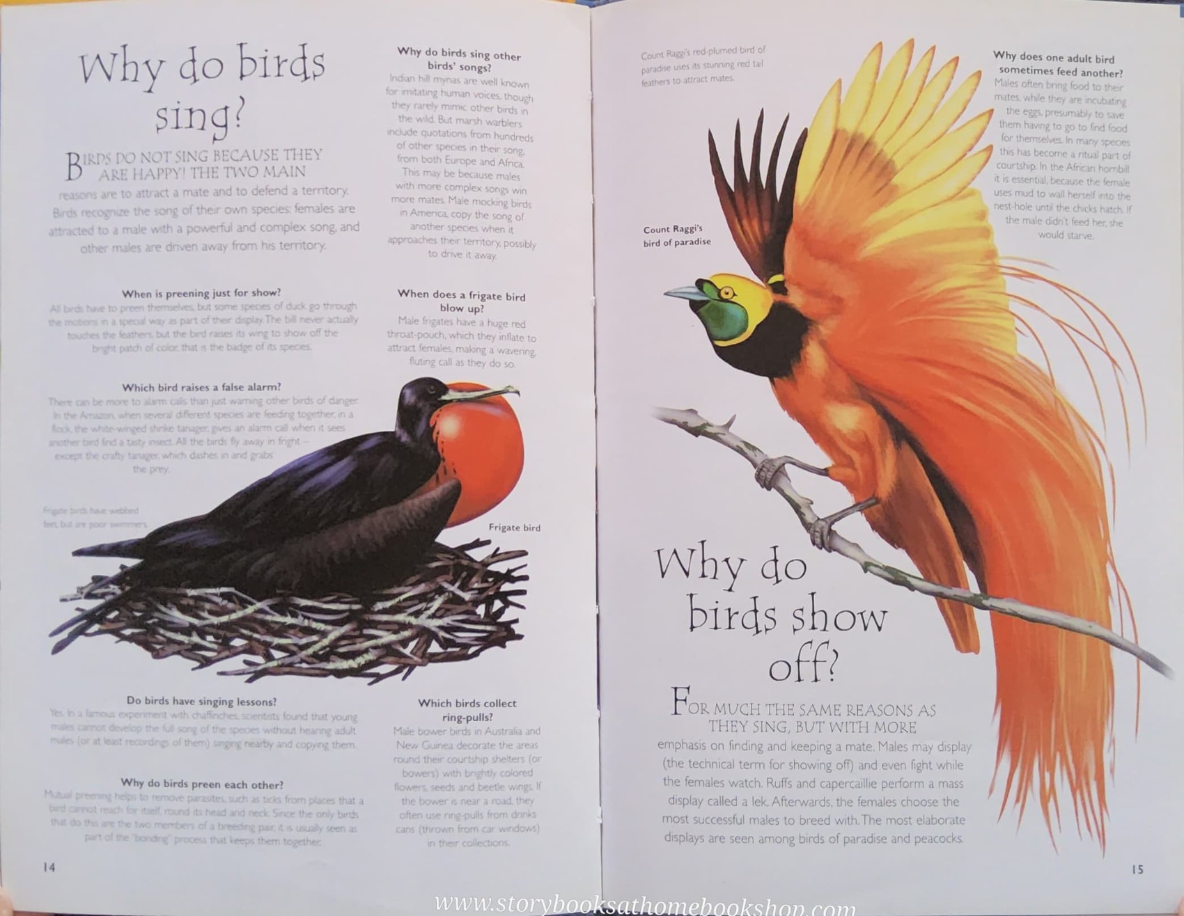 KNOWLEDGE BOOK** ♥️♥️QUESTIONS AND ANSWERS BIRDS