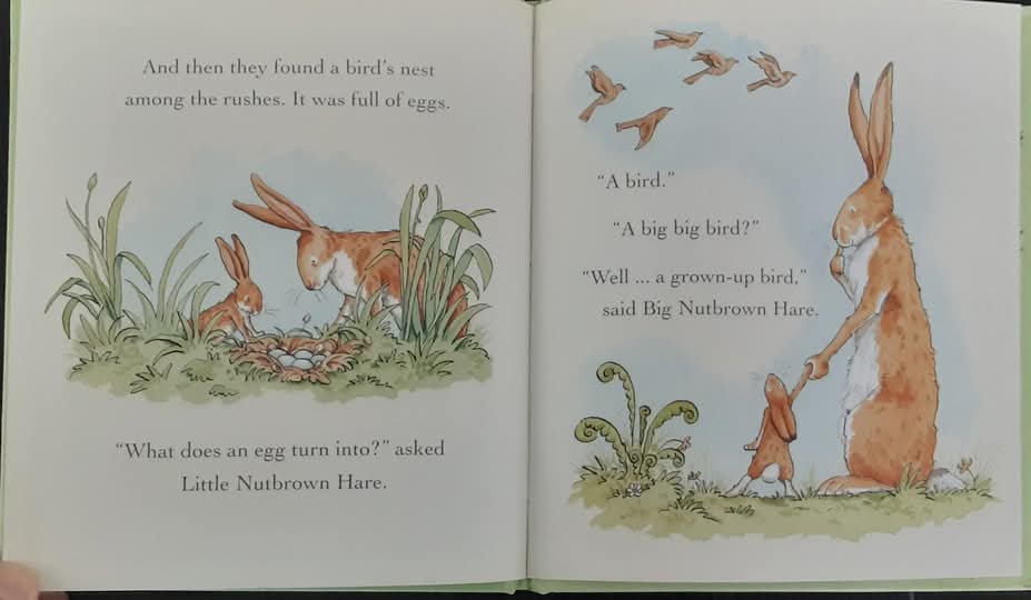 หนังสือนิทานปกแข็ง** 🍅🍓GUESS HOW MYCH I LOVE YOU : SPRING: