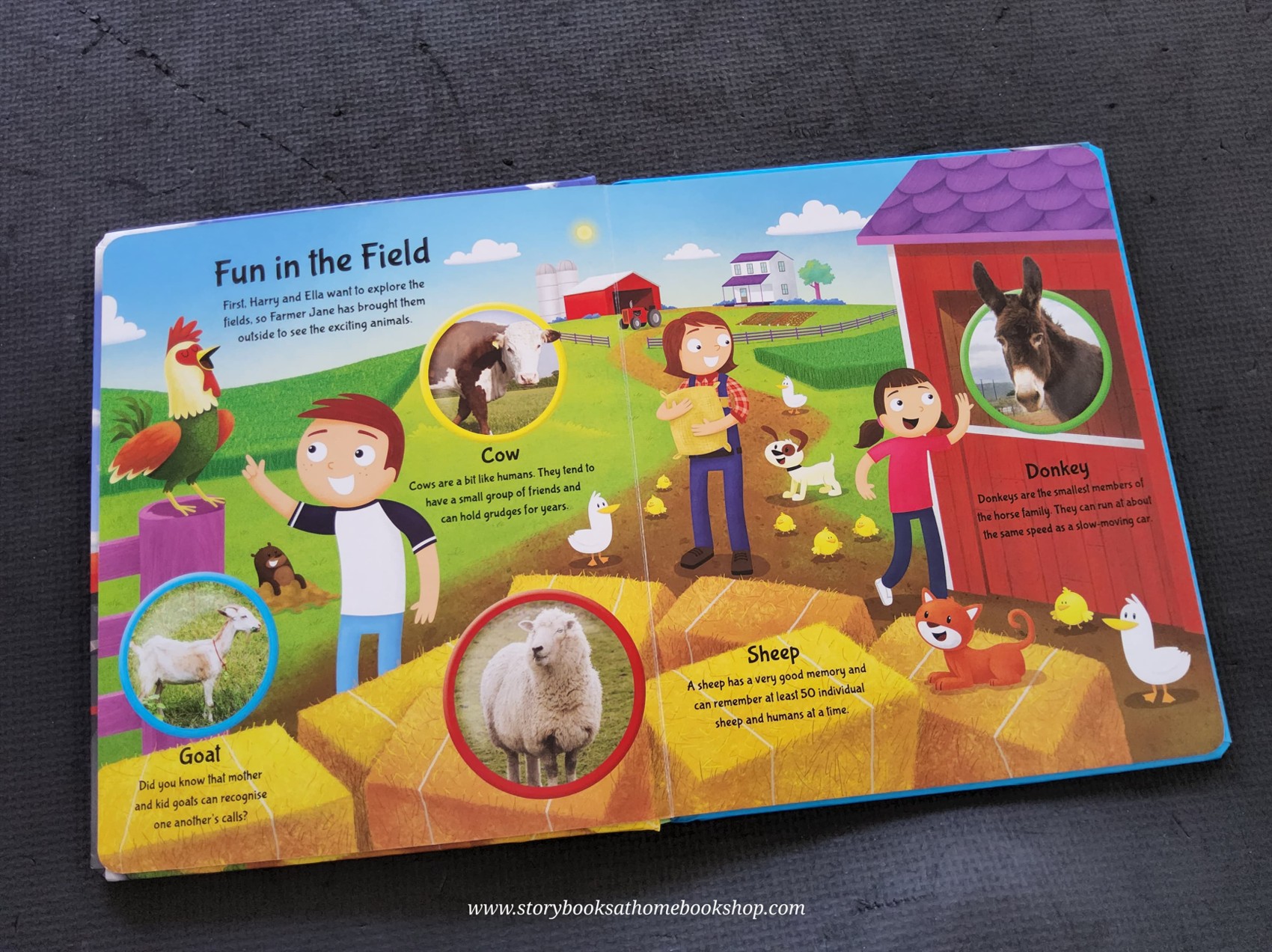 BOARD BOOK** 🍅🍓FARM EXPLORERS