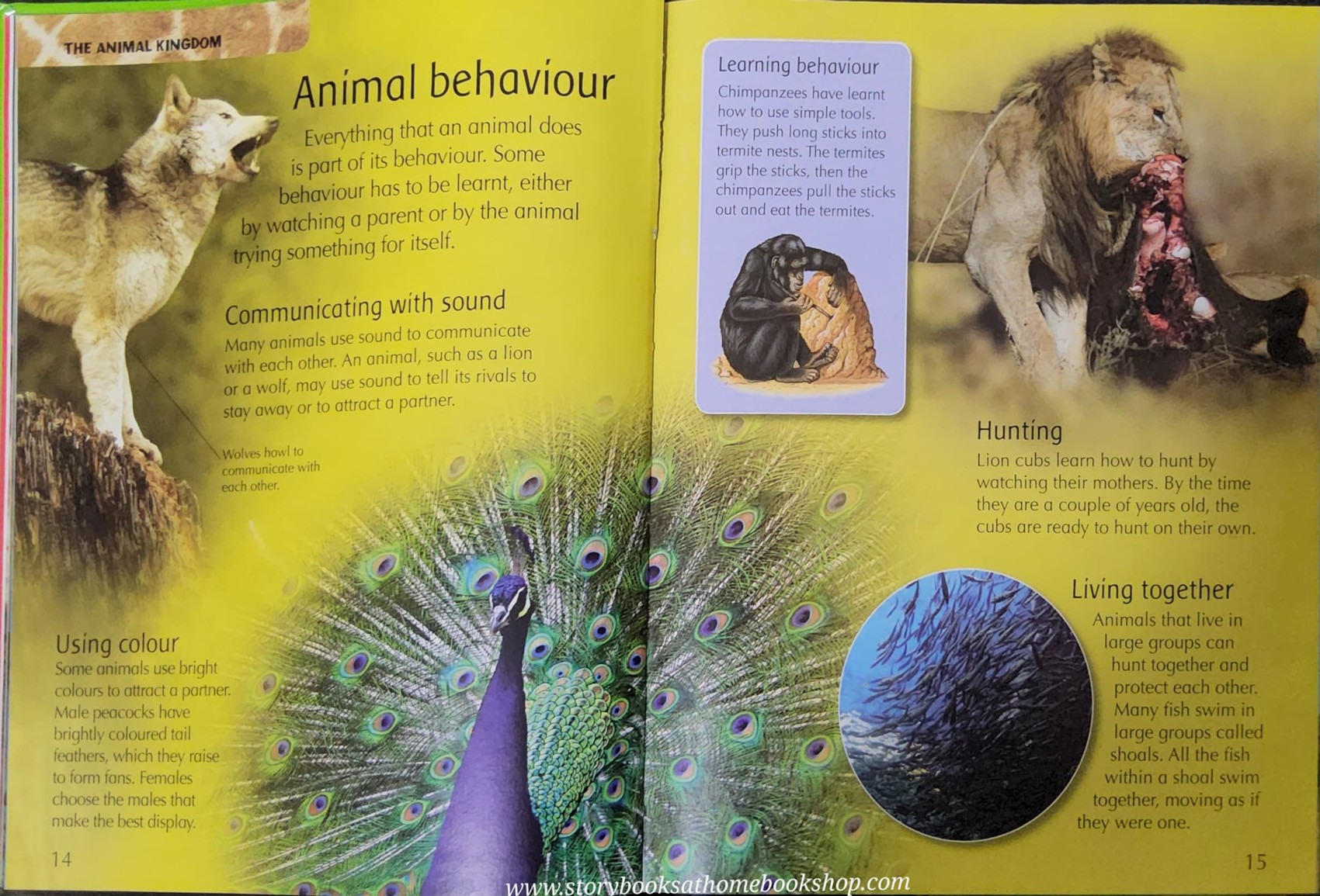 KNOWLEDGE BOOK** ð
ðTHE CHILDREN'S ENCYCLOPEDIA OF ANIMALS
