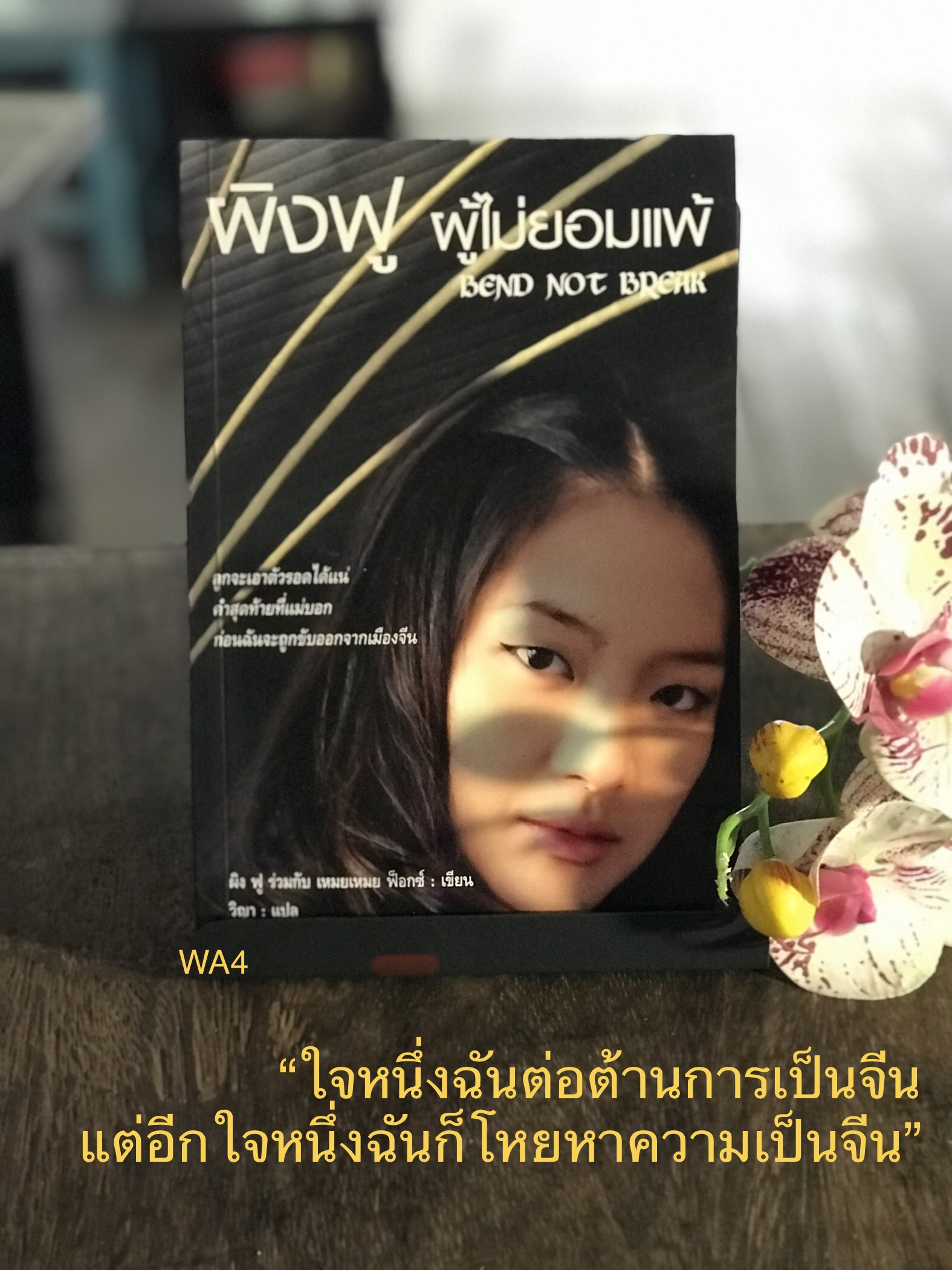 ผิงฟู ผู้ไม่ยอมแพ้ ผู้เขียน ผิง ฟู ร่วมกับ เหมยเหมย ฟ็อก สำนักพิมพ์สันสกฤต