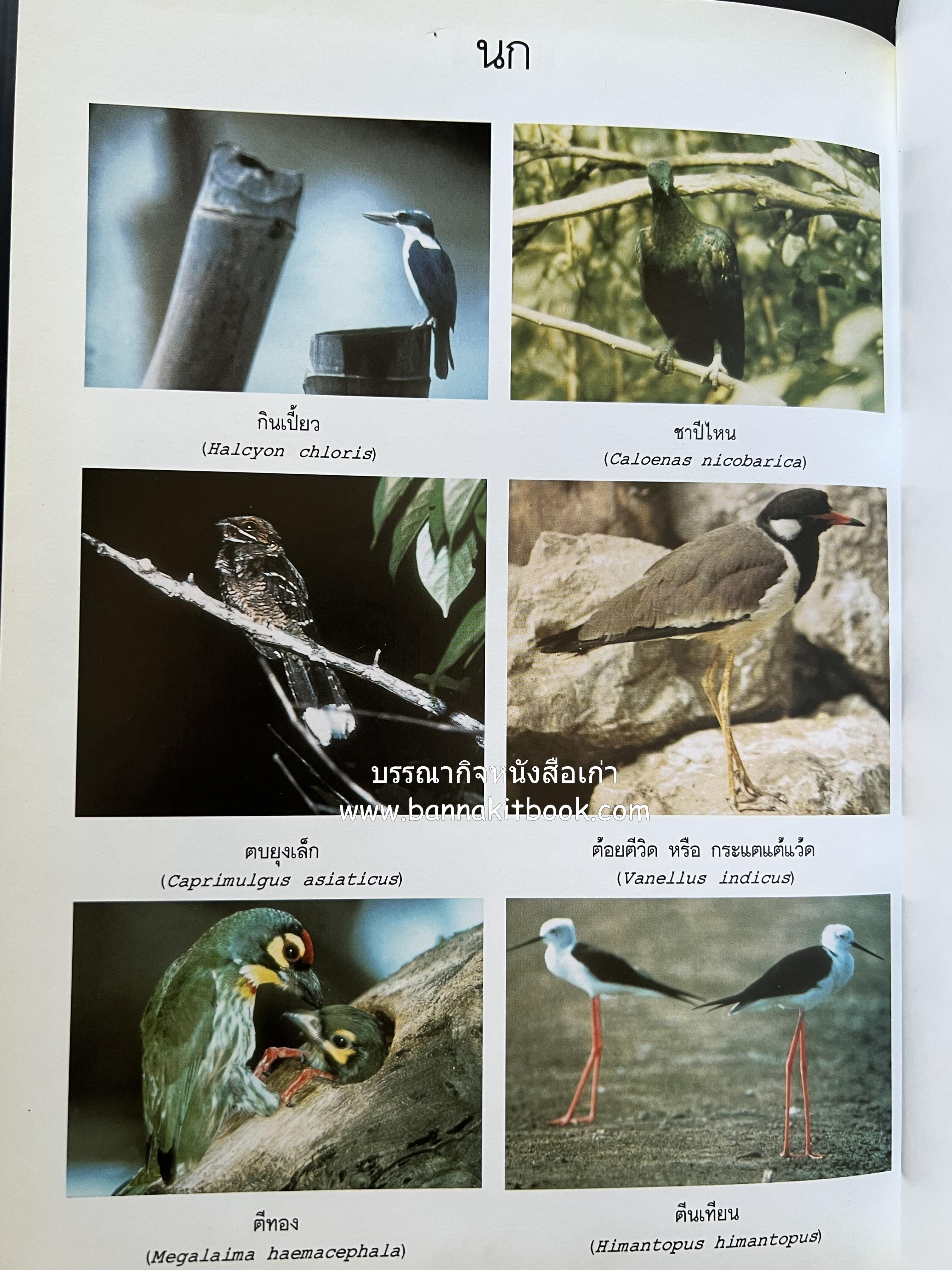 พจนานุกรม ฉบับราชบัณฑิตยสถาน พ.ศ. 2542 โดย : ราชบัณฑิตยสถาน.