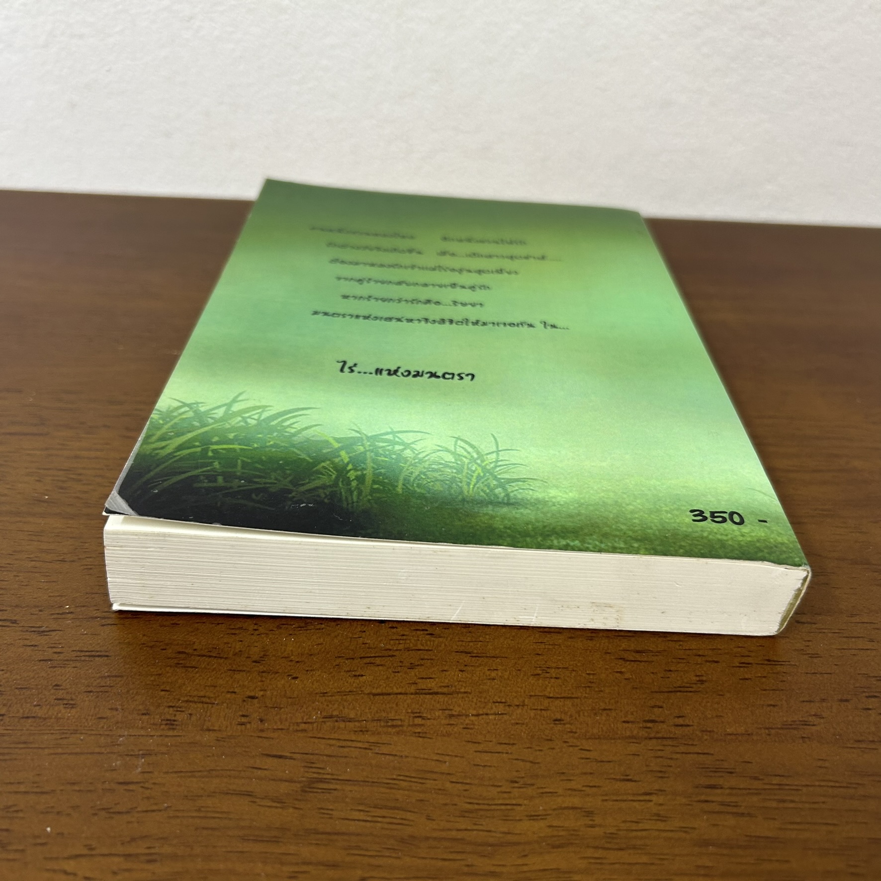 [YURI] ไร่แห่งมนตรา ... ทอเเสง (มือสอง) นิยาย โรแมนติก ยูริ