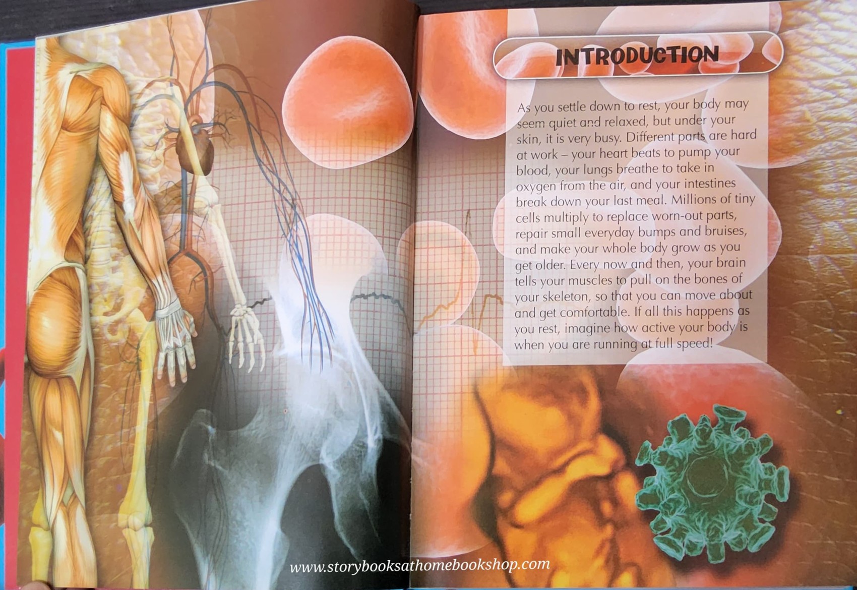 KNOWLEDGE BOOK** ♥️ENCYCLOPEDIA OF THE HUMAN BODY ♥️