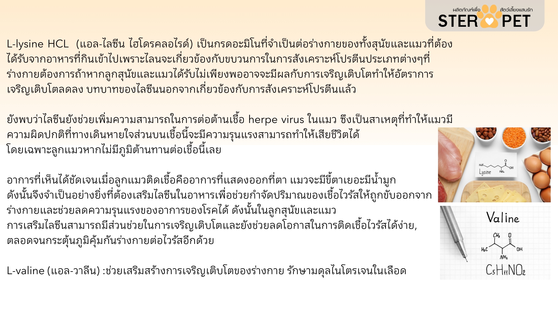 เซตทดลอง สเตอร์ เพ็ท Ster Pet เนื้องอกหมาแมว ก้อนเนื้อหมาแมว มะเร็งสุนัขแมว ลดอักเสบ ลดขนาดก้อนเนื้อ เบื่ออาหาร น้ำหนักลด ไตวายหมาแมว แผลยุบเร็ว ( 15 แคปซูล)