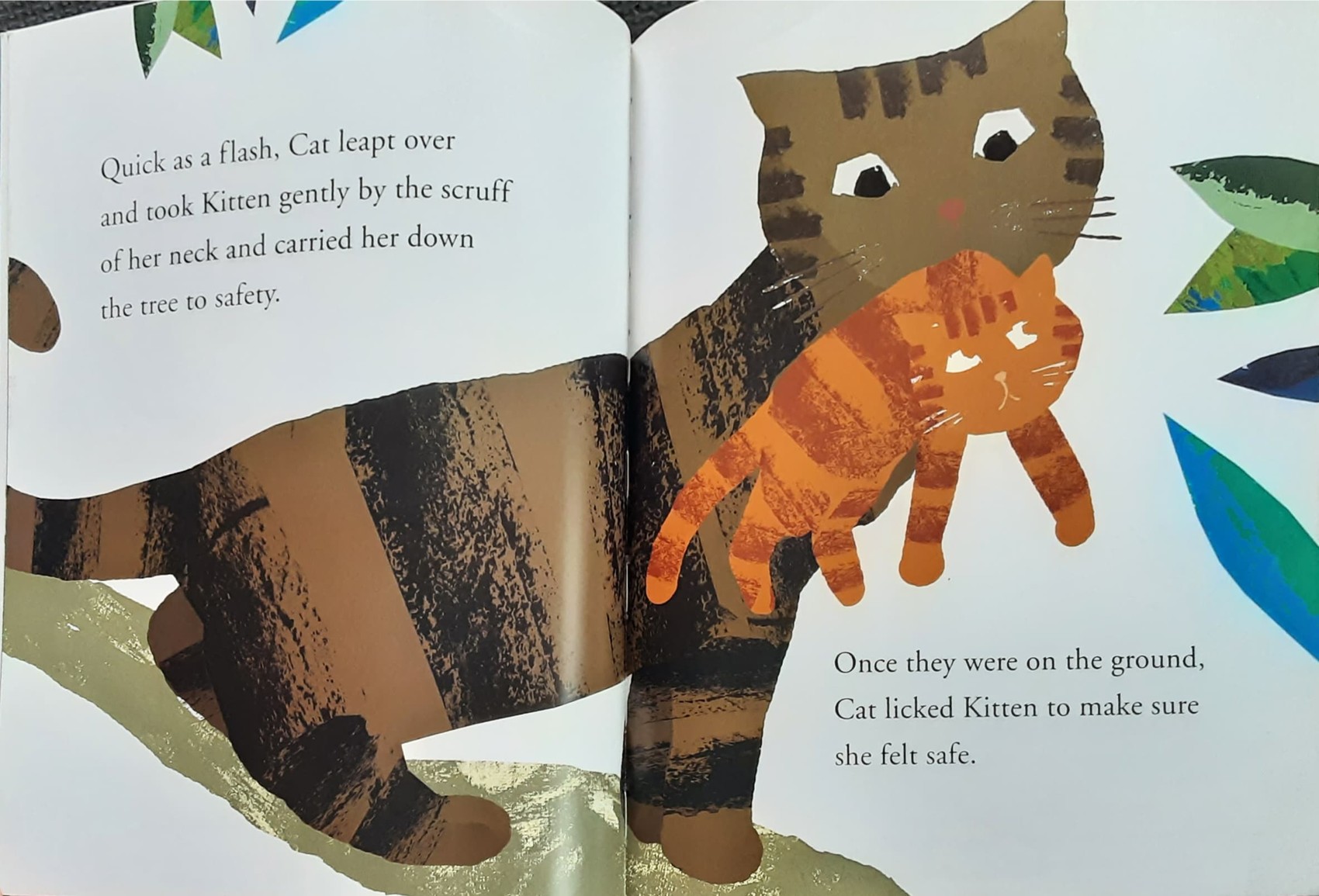 หนังสือนิทานปกอ่อน 🍅🍓Grumpy Cat