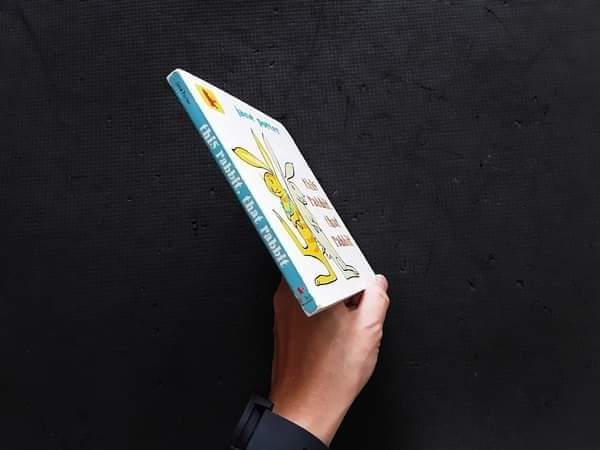 Board Book** 🍅🍓this rabbit,that rabbit by jane porter