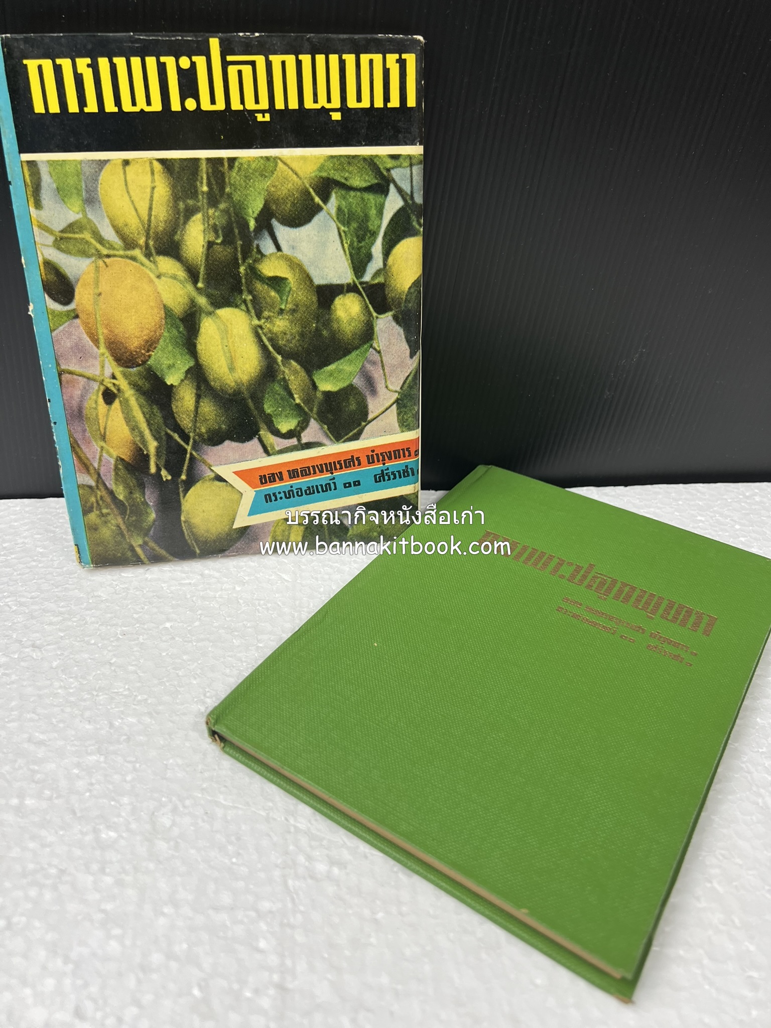 การเพาะปลูกพุทรา ตำราชุดเกษตรกรรม ของ หลวงบุเรศบำรุงการ.