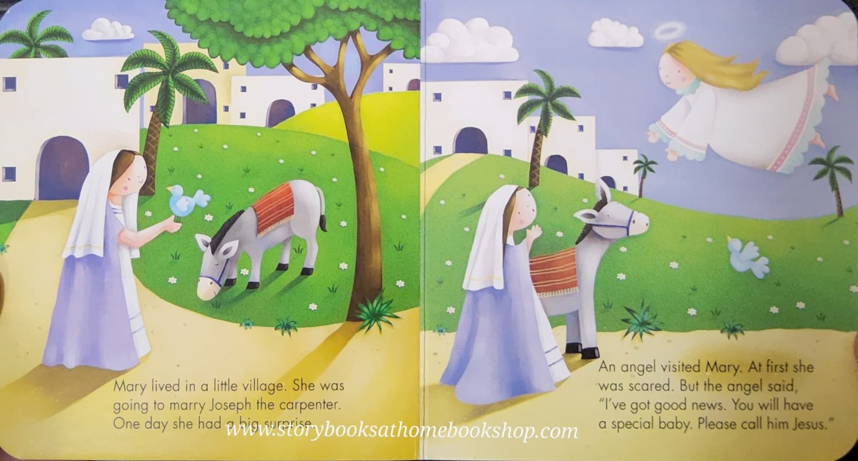 BOARD BOOK** 🍅🍅THE NATIVITY STORY