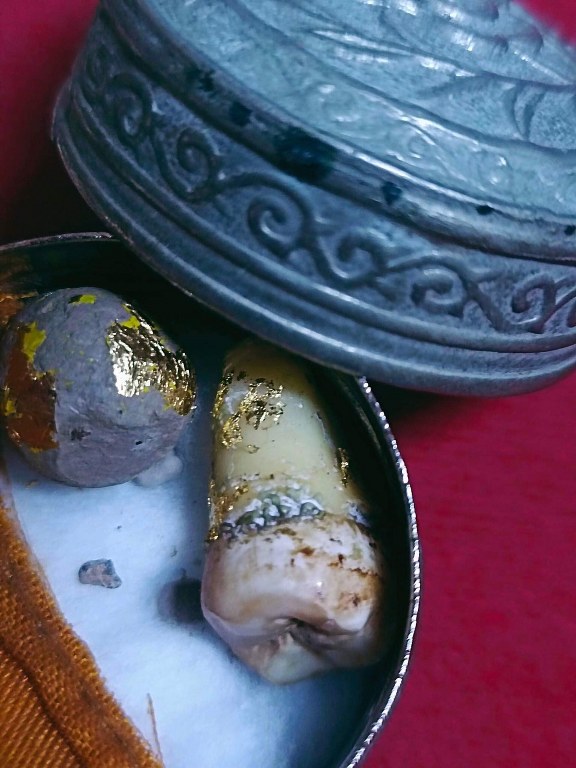 พระทันตธาตุ ครูบาสิทธิ วัดปางต้นเดื่อ อ.แม่อาย จ.เชียงใหม่ เจ้าของเดิมชื่อคุณบอม เคยเป็นเภสัชโรงพยาบาลสันทราย จ.เชียงใหม่ ปัจจุบันอายุ 47 ปี (บันทึก พ.ศ.2566) เคยเป็นศิษย์และนับถือครูบาสิทธิตั้งแต่ปี 2549 - 2555 จนครูบาสิทธิท่านมรณภาพ