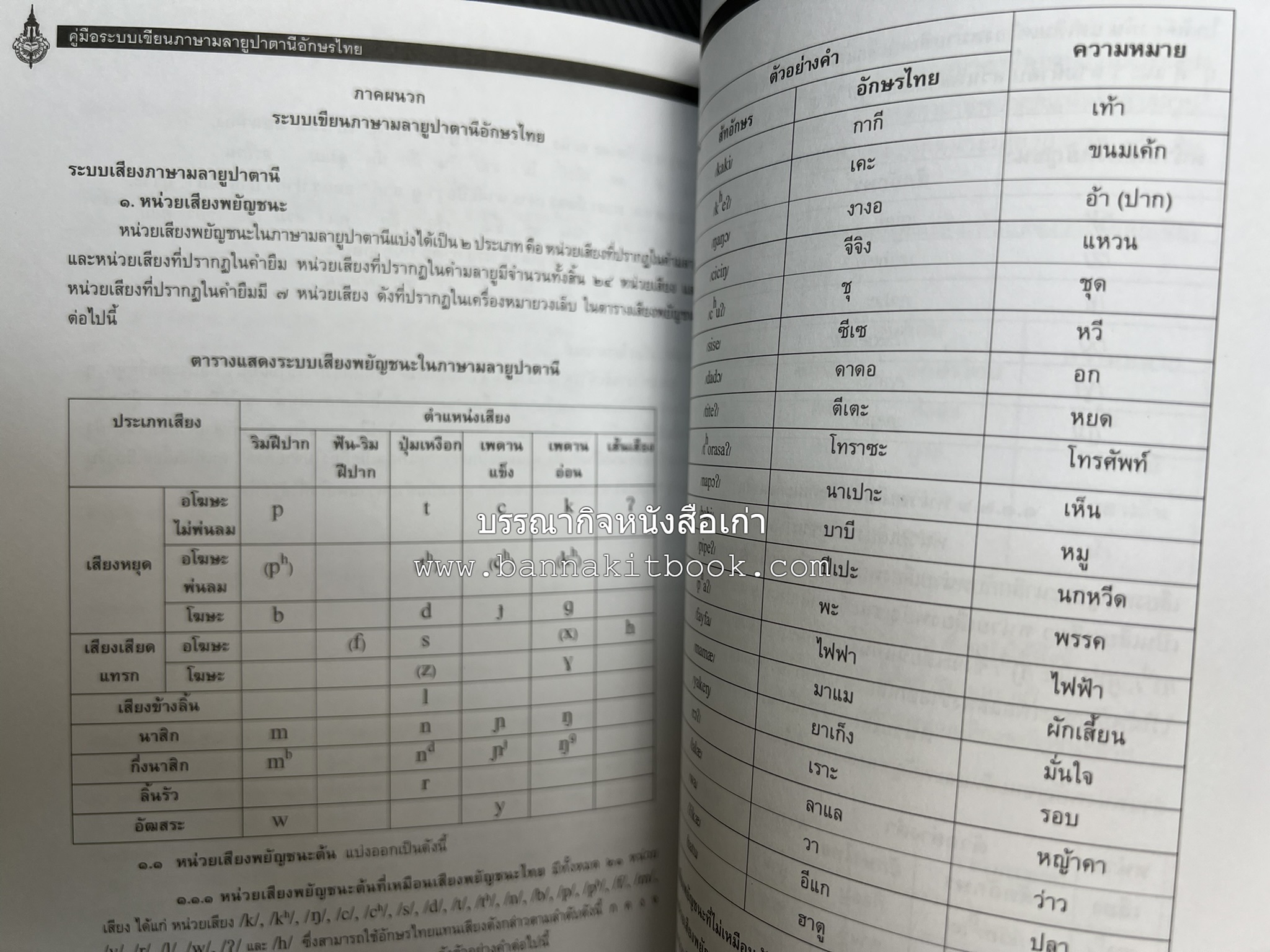 ภาษามลายูปาตานี คู่มือระบบอักษรไทย ฉบับราชบัณฑิตยสถาน โดย : ศาสตราจารย์ ดร.ปัญญา บริสุทธิ์.