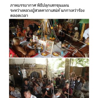 ขุนแผนผงอัฐิคนโบราณ 8 ศอก รุ่นแรก หลวงพ่อพรชัย สำนักสงฆ์วัดถ้ำน้ำย้อย จ.ศรีสะเกษ ปี 2564