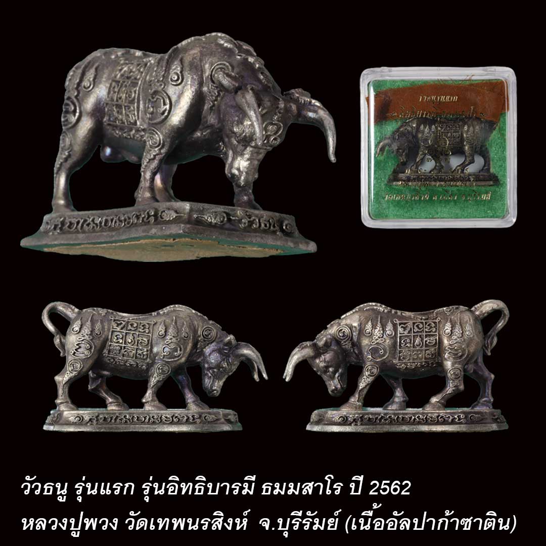 วัวธนู รุ่นแรก หลวงปู่พวง วัดเทพนรสิงห์ รุ่นอิทธิบารมี ธมมสาโร ปี 62 เนื้ออัลปาก้าซาติน