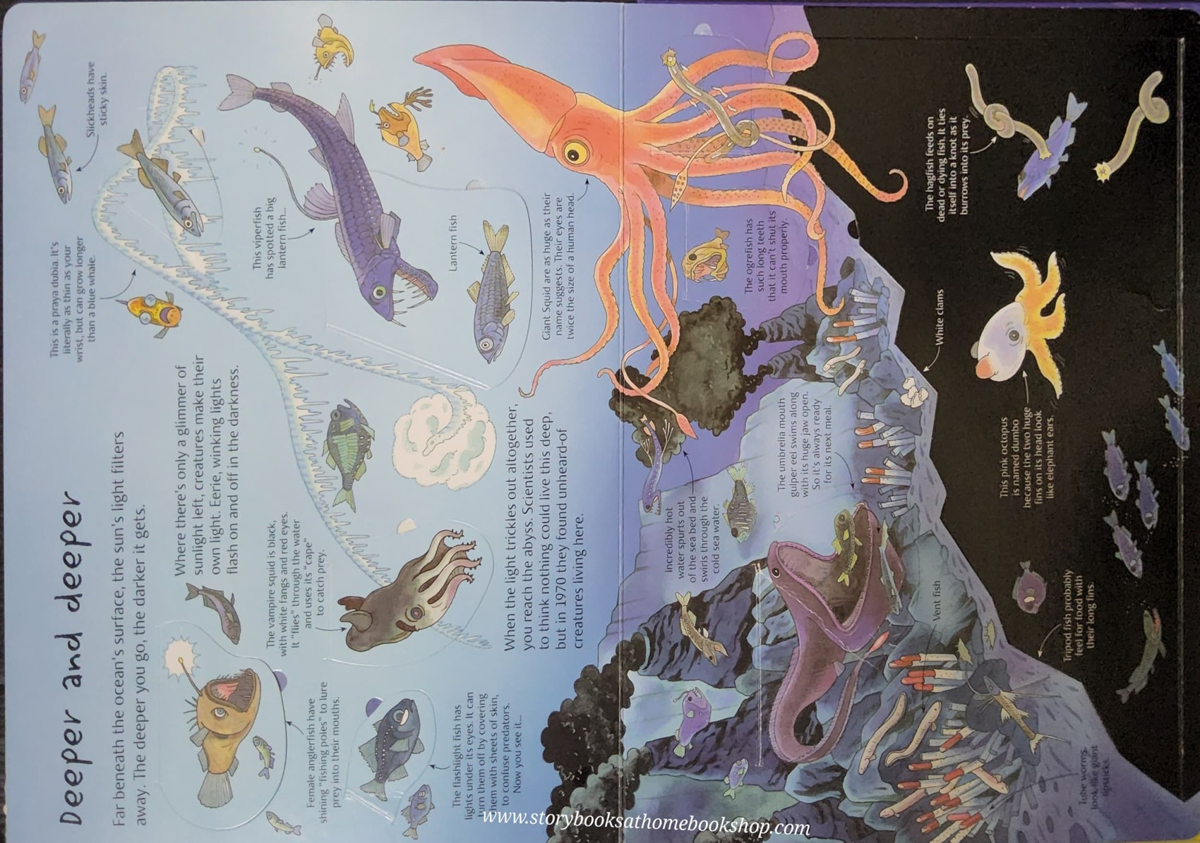 RECOMMENED SCIENCE BOOK** **Knowledge Book** ð
ð
An Usborne Flap book See UNDER THE SEA with over 80 flaps to lift