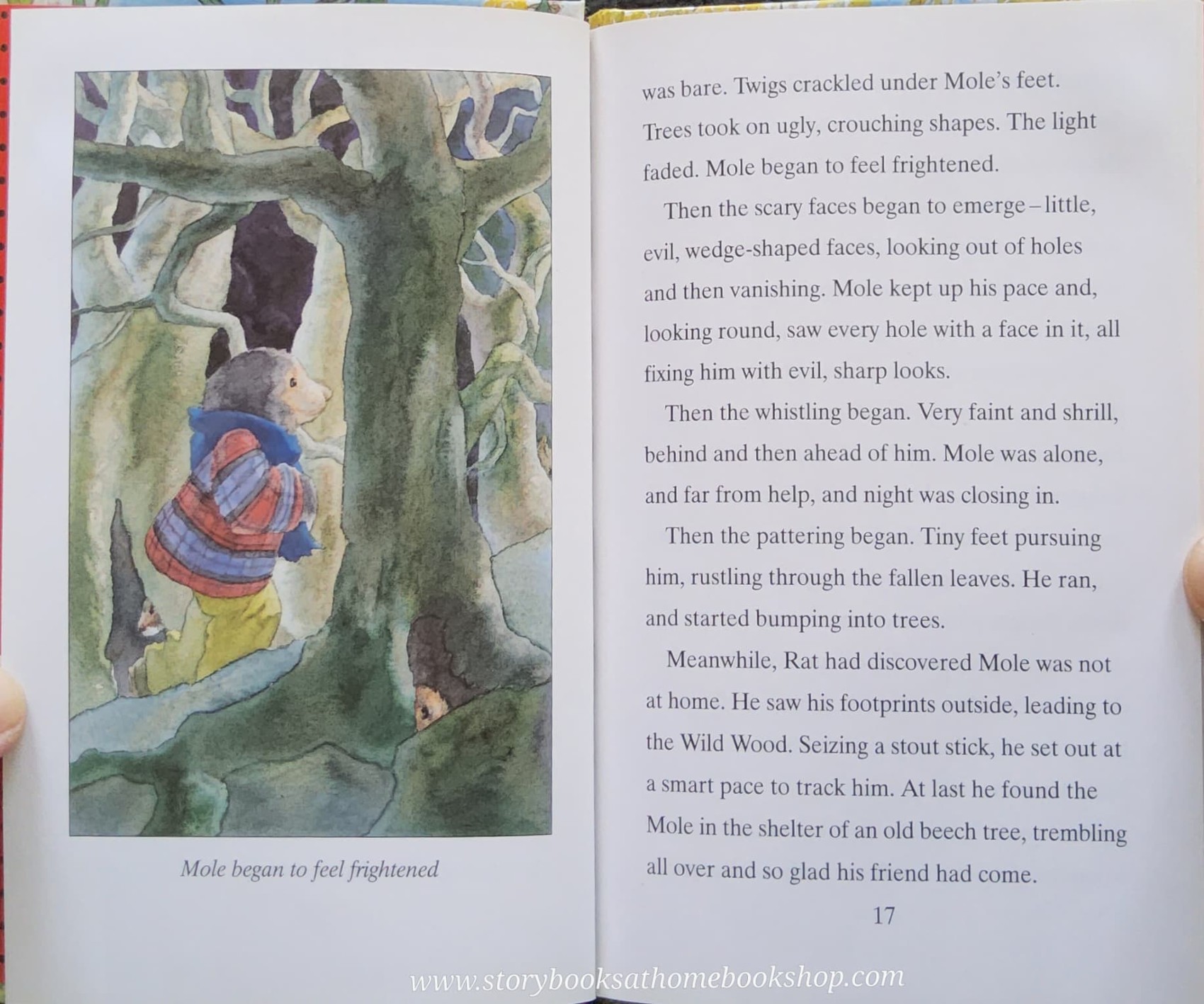 หนังสือนิทานปกแข็ง** ♥️LADYBIRD CHILDREN THE WIND IN THE WILLOWS