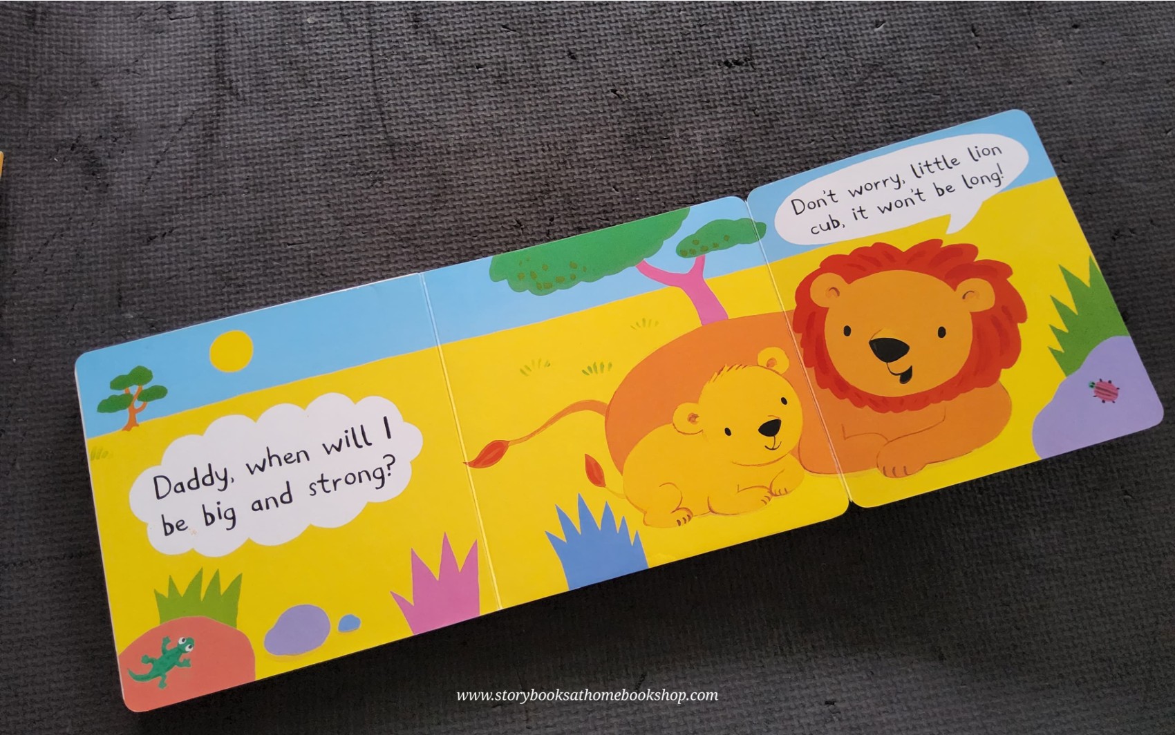 FLAP BOARD Book** ð
ðPEEKABOOKS IN THE JUNGLE