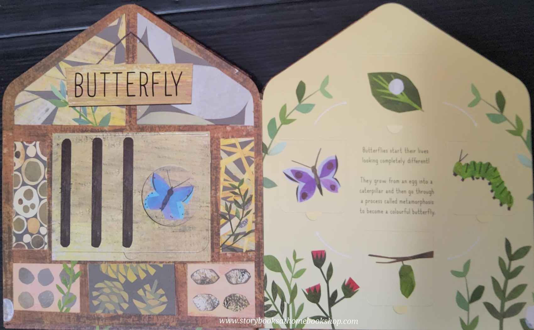 FLAP BOARD BOOK** 🍓🍓BUG HOTEL