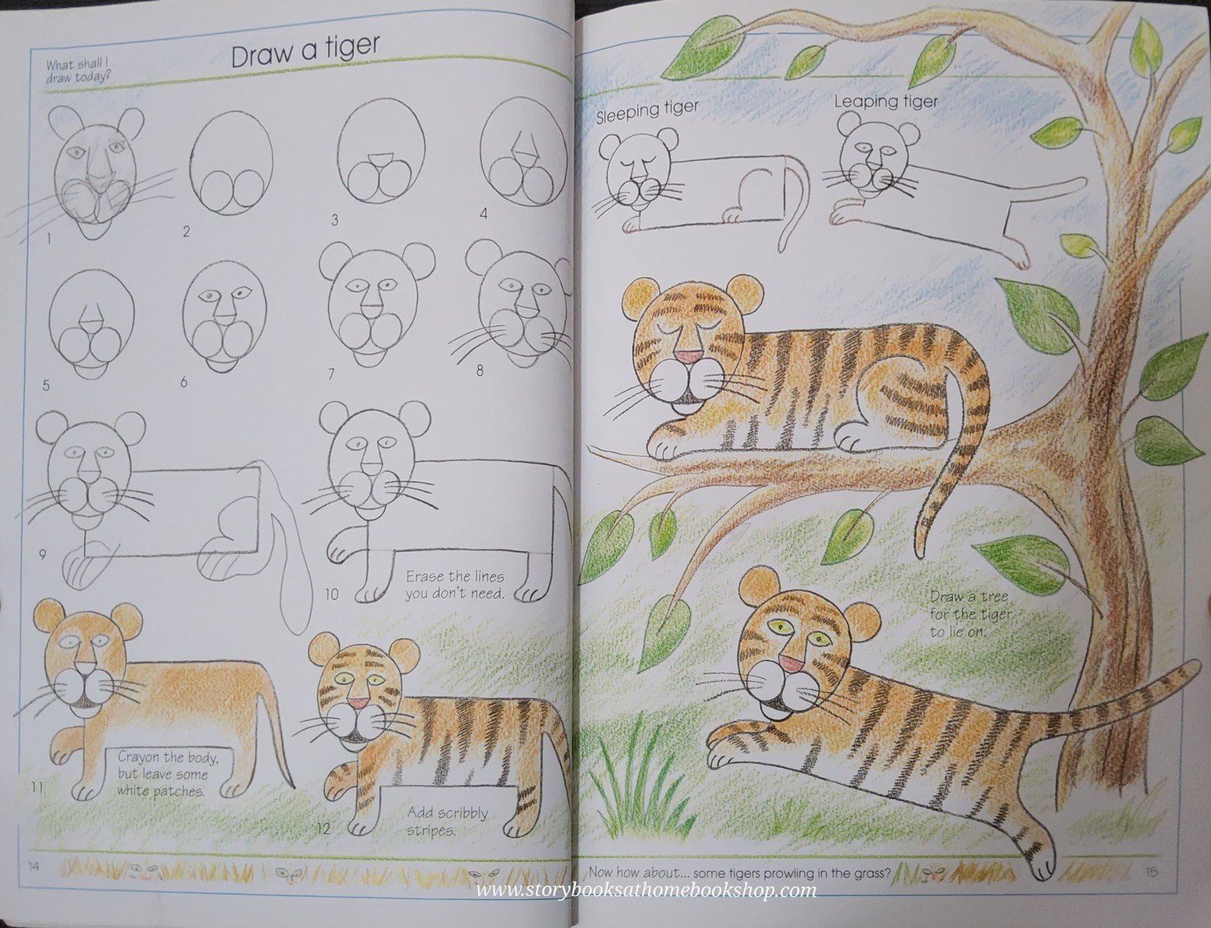 DRAWING BOOK** ♥️USBORNE ACTIVITIES: WHAT SHALL DRAW?