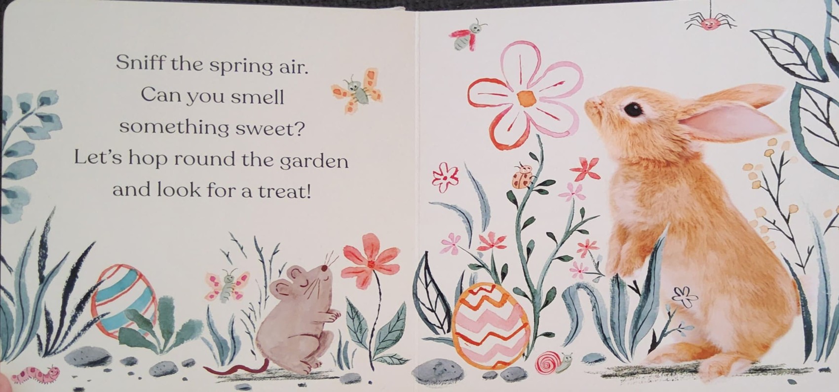 BOARD Book** 🍅🍓Happy Easter,Little Bunny