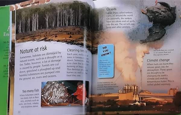 KNOWLEDGE BOOK ** 🍅🍓 MY FIRST ANIMAL ENCYCLOPEDIA