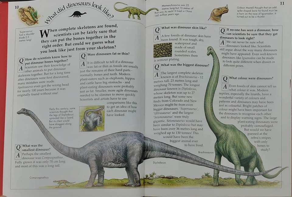 Knowledge Book** 🍅🍓KNOWLEDGE MASTERS DINOSAURS