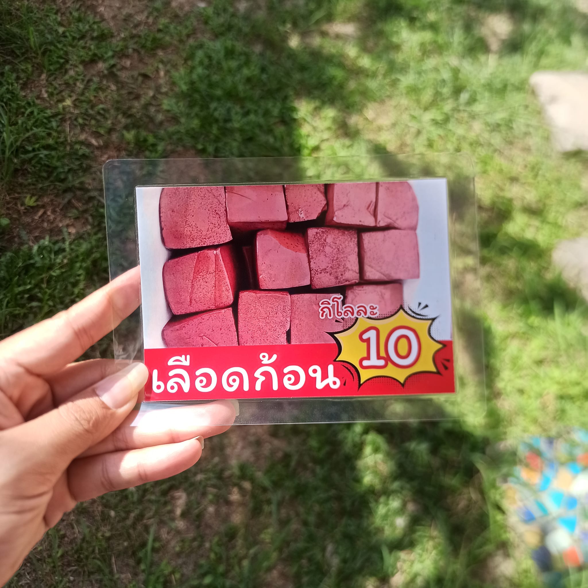 ป้ายเมนูไก่สด พร้อมราคา (A6 - 11 แผ่น ครบทุกส่วน)