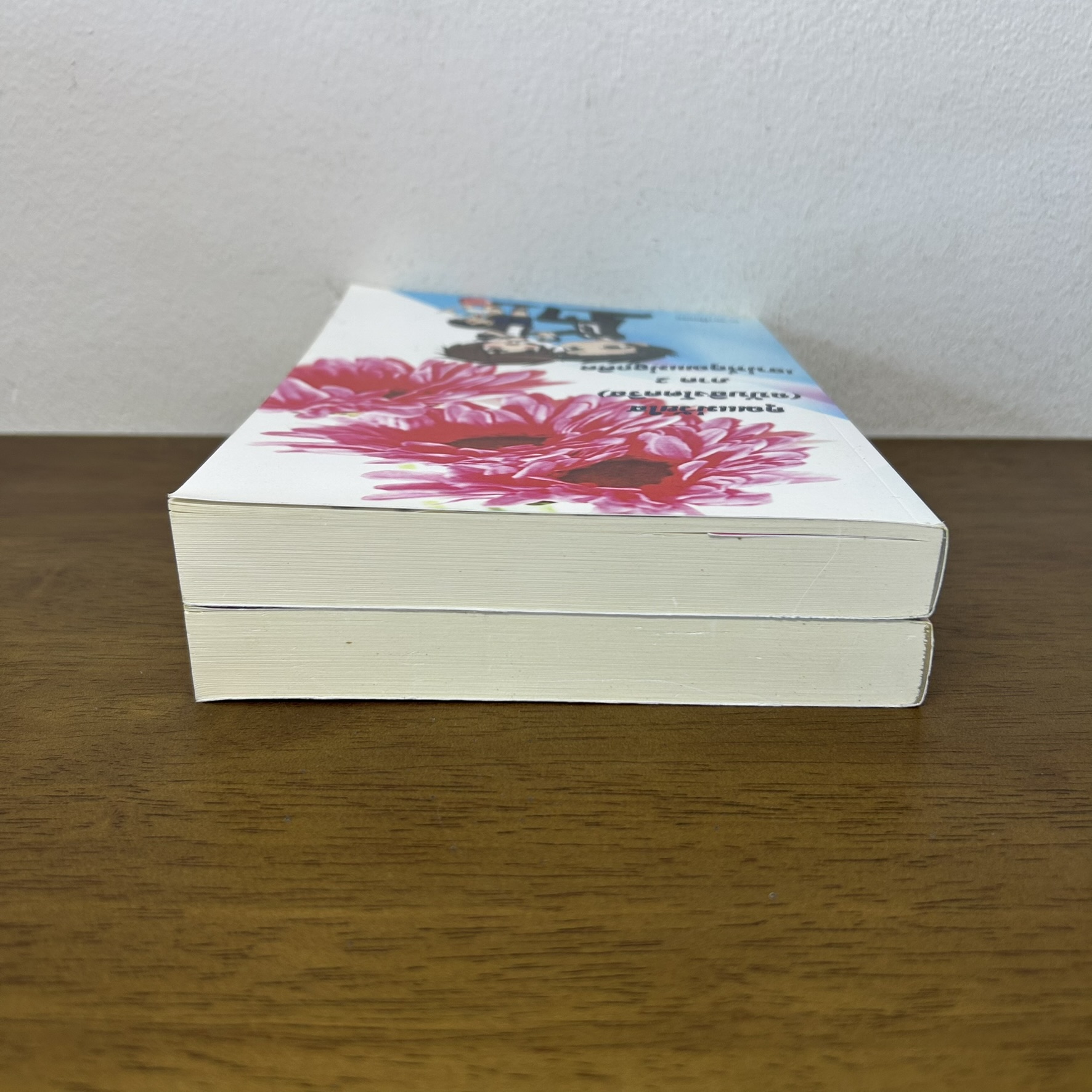 คุณแม่วัยใส ฉบับสิงโตคริส+ภาค 2 เสน่ห์คุณแม่ลูกติด ... Star_Diamond (มือสอง) นิยายวาย