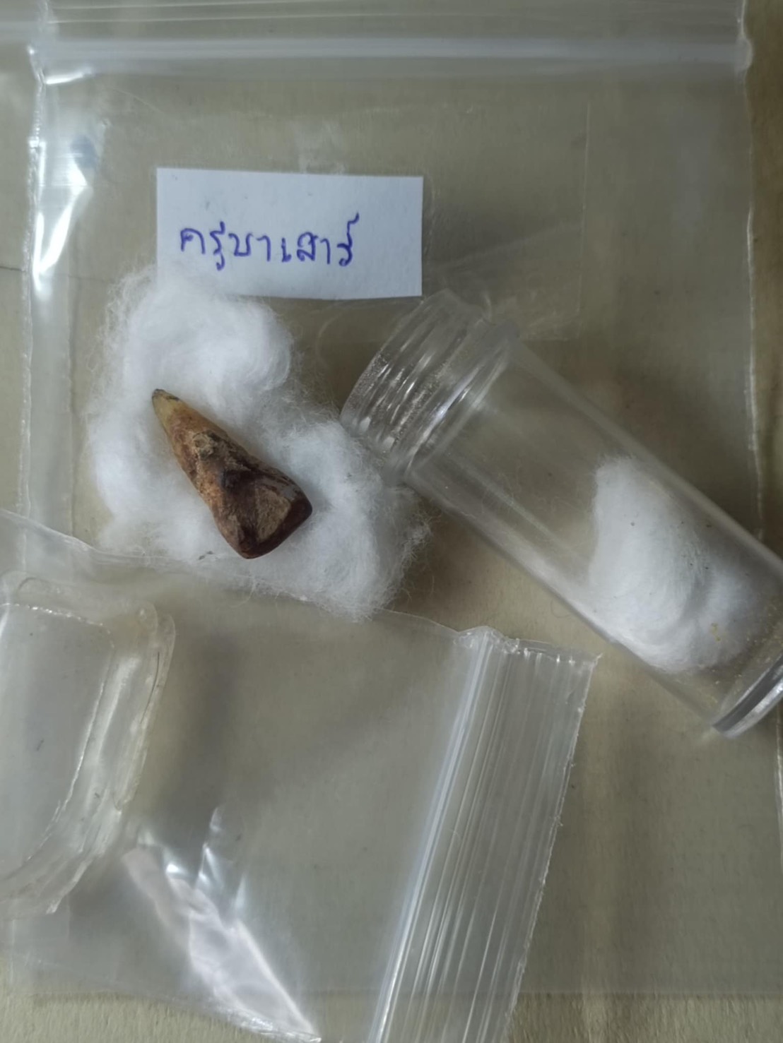 พระทันตธาตุ ครูบาเสาร์ วัดรัตนาราม จ.เชียงใหม่ เจ้าของเดิมคือปู่เขียว สืบต่อมาถึงผู้เป็นบุตรคุณปู่เขียว เล่าให้ฟังว่า ได้พระทันตธาตุครูบาบุญเป็ง มานานมาก จำปี พ.ศ. ไม่ได้ ว่าได้มาจากหลานของครูบาเจ้าบุญเป็ง หลานครูบาเป็นคนบ้านเดียวกับปู่เขียว