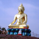 ปางหมอยา