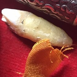 พระทันตธาตุ หลวงพ่่อแกง วัดน้ำบึง อ.ท่าปลา จ.อุตรดิตถ์ ได้มาจากคุณวินัย อายุ 84 ปี อดีตนายอำเภอ หลายพื้นที่ คุณวินัย ท่านได้รับพระทันตธาตุหลวงพ่่อแกง จากมือหลวงพ่อแกง เมื่อปี 2550 เพราะท่านได้ถวายตัวเป็นศิษย์ ทำบุญ ช่วยเหลือทางวัดมาตลอดหลายปี