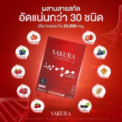 ซากุระ By ฟินิกซ์ อินเตอร์
