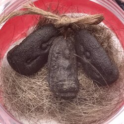 พระเกศา ยุคปลาย ครูบาเจ้าอภิชัยขาวปี ได้มาจากพระหนานจันทร์ ชาวสันห้างเสือ อ.ป่าซาง จ,ลำพูน ท่านเคยบวชอยู่ที่วัดพระพุทธบาทตากผ้า กับพระผงเกศาอีกจำนวน ๓ องค์ ท่านเล่าว่าได้มาเมื่อ พ.ศ.๒๕๑๕-๒๕๑๖ เมื่อคราวครูบาเจ้าฯ มาร่วมพิธีที่วัดพระพุทธบาทตากผ้า